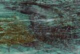Polished Fuchsite Chert (Dragon Stone) Slab - Australia #89980-1